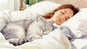 Sharing a Bed With Your Cat