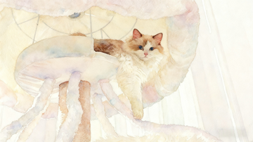 Why Modern Cat Trees Are Replacing Traditional Ones