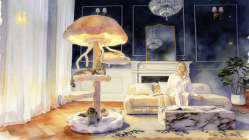 cat scratcher furniture