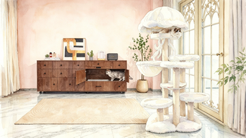 best cat tree for maine coon
