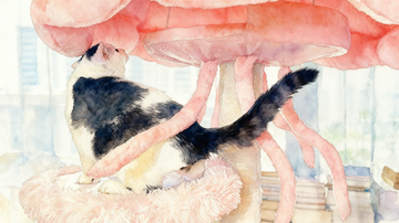 Do Cats Have Aesthetic Preferences? Let’s Talk Feline Taste.