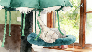 How can you stop cats from scratching furniture: Guide Instead of Fighting