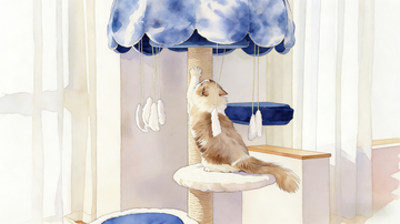 The Dangers of Declawing Cats: Why This Is Not the Solution to Scratched Furniture