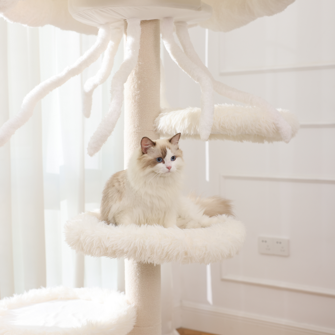 good looking cat trees