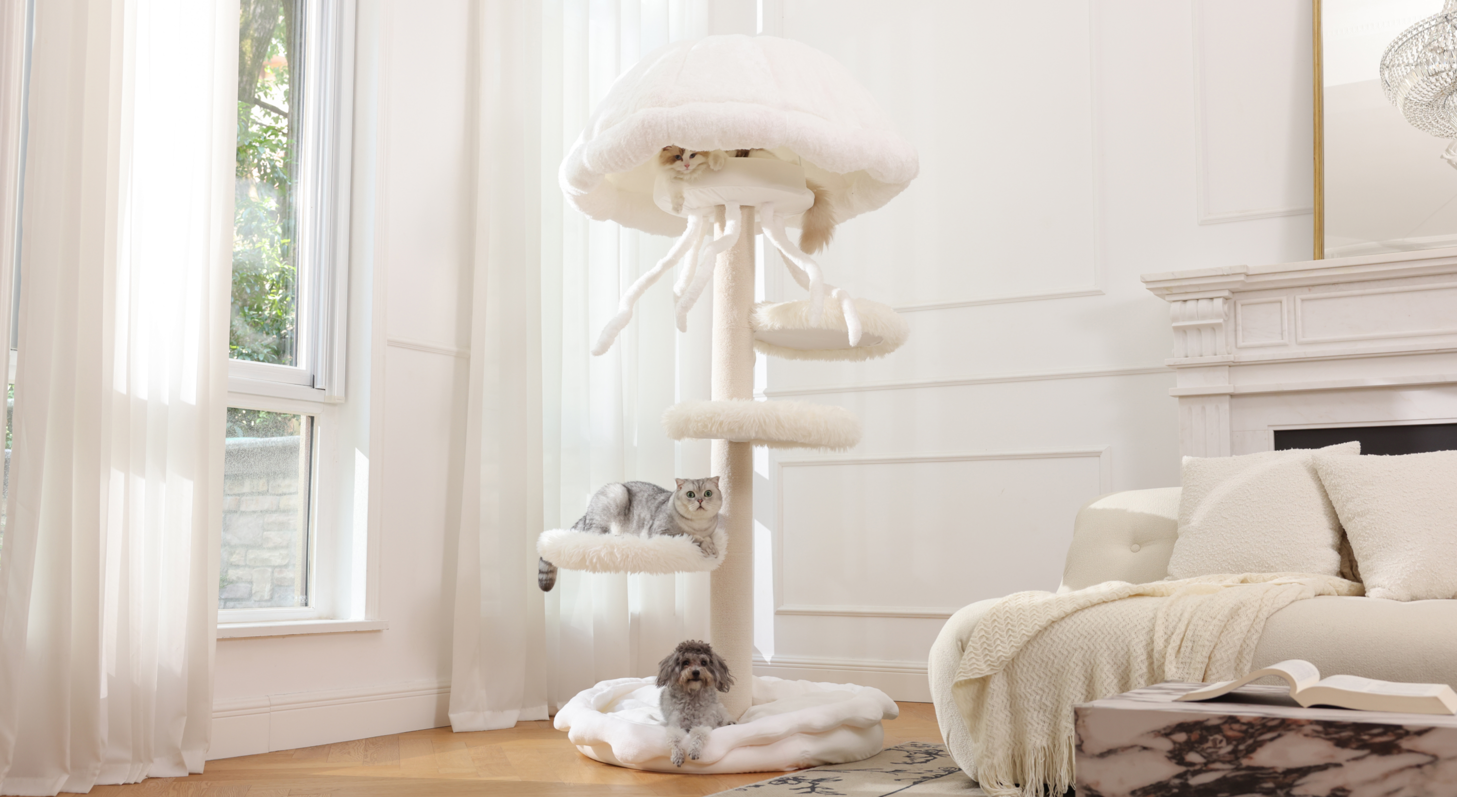 slider image slider_item_BgdHX8