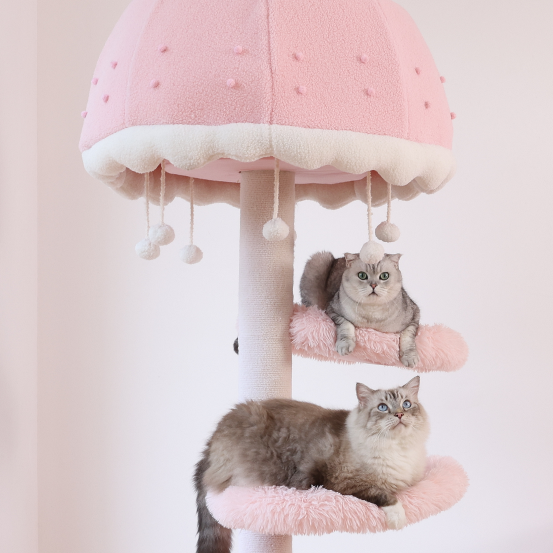Functional Cat Tree