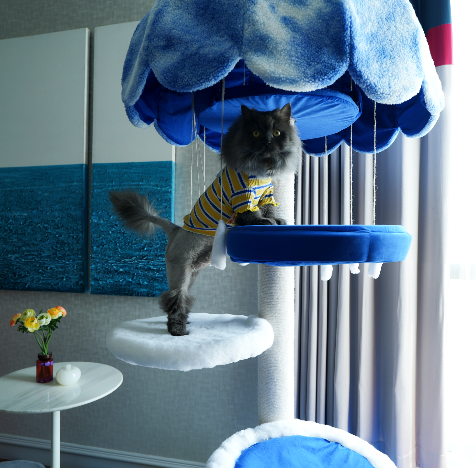 Every cat dreams of having its own cat tower tall.