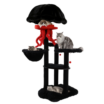 cat climbing tree for large cats