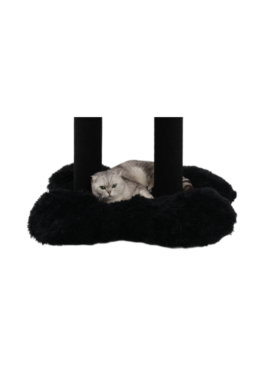 cat bed for large cats
