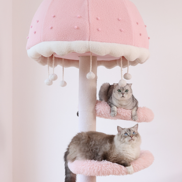 The cat tower is pink in color and has a dreamy design.