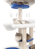 These are the big cat trees for large cats that you are looking for. 
