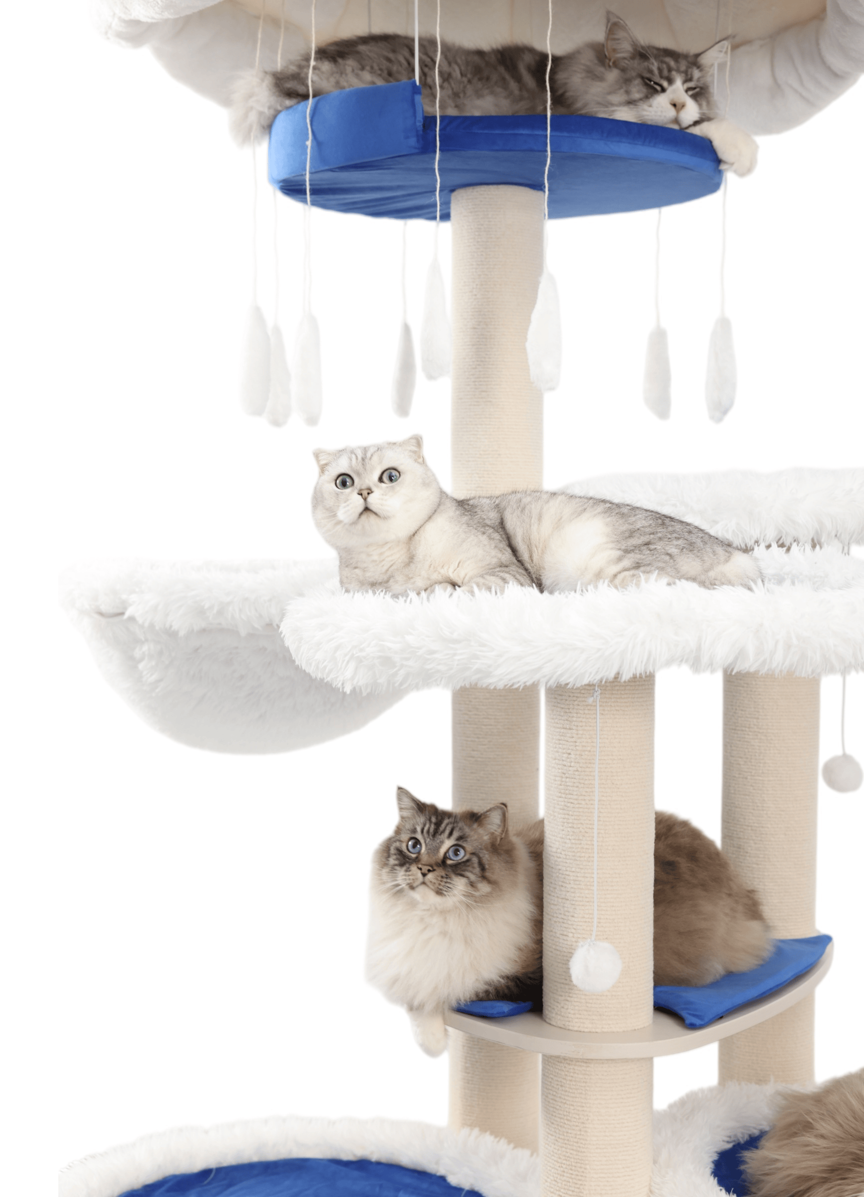These are the big cat trees for large cats that you are looking for. 