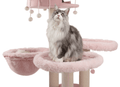 Sturdy cat towers for large cats are the ideal choice for Maine Coons.
