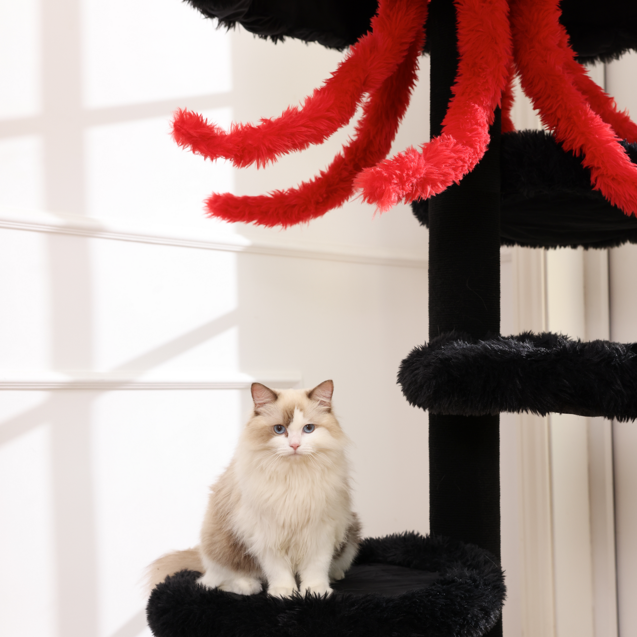 Cat sitting on a sturdy black large cat tower with red accents