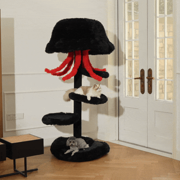 Warm and comfortable bedding for cats