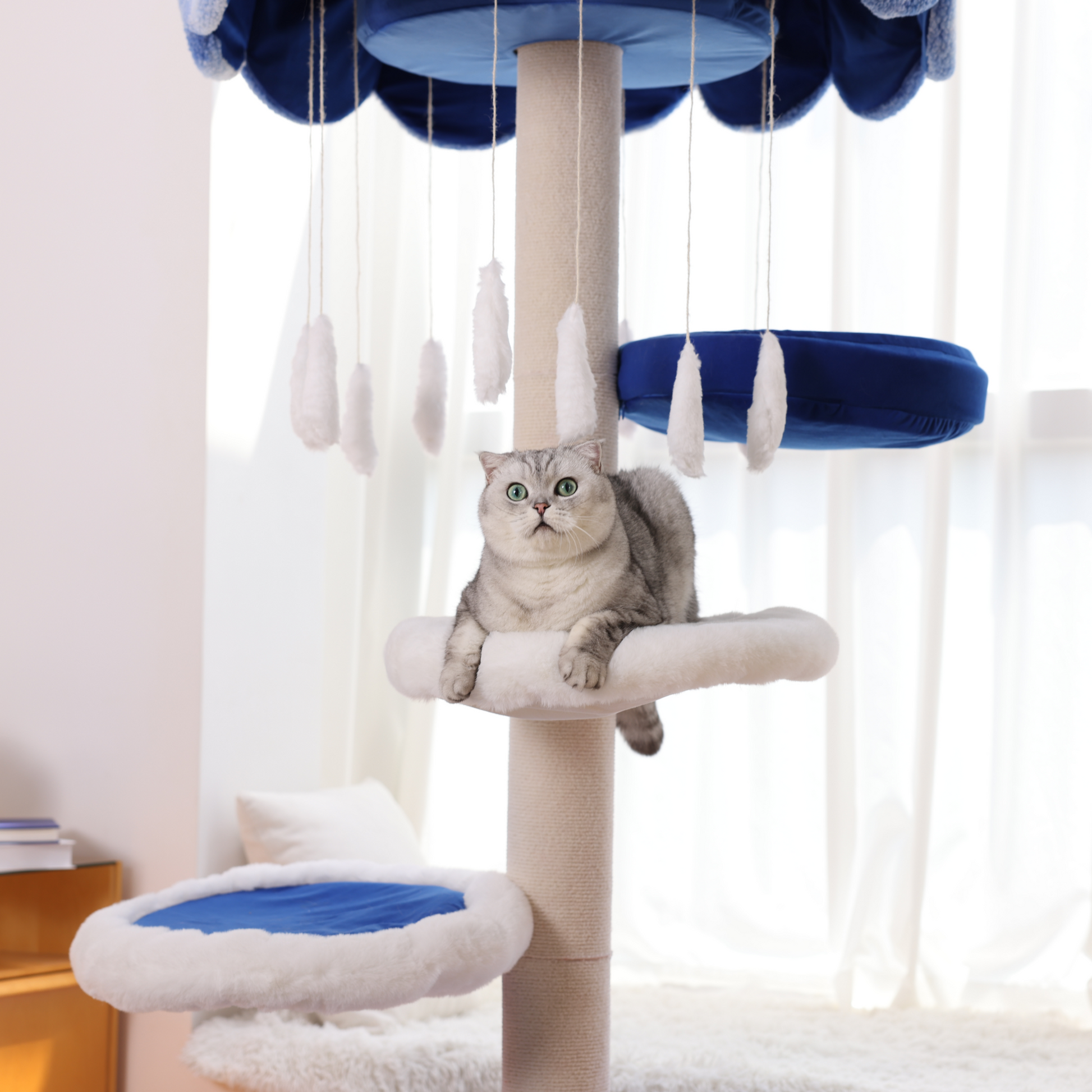 Aesthetic cat trees - furniture designed to enhance one's aesthetic taste.