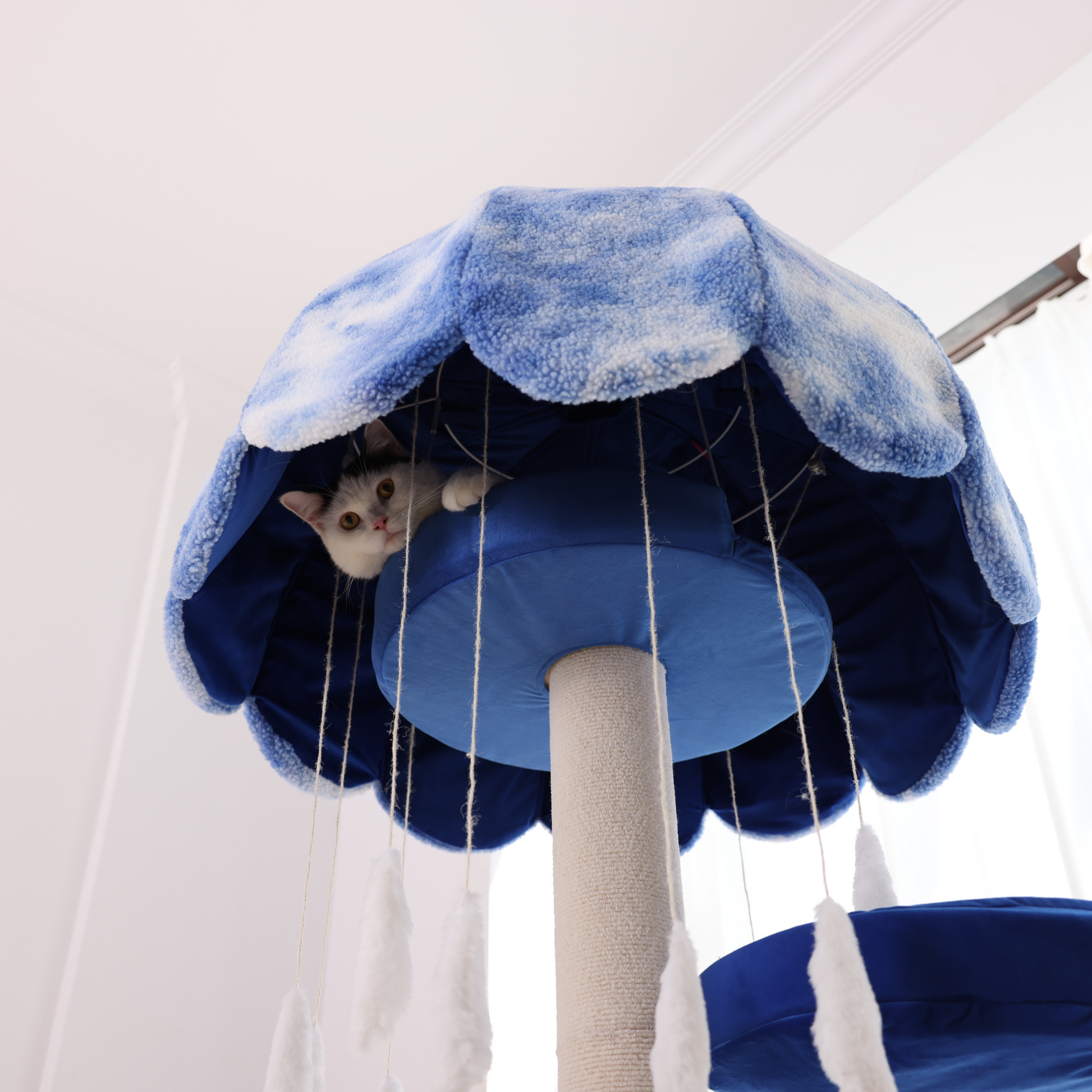 Sturdy cat condos, with a maximum weight capacity of 18 pounds.