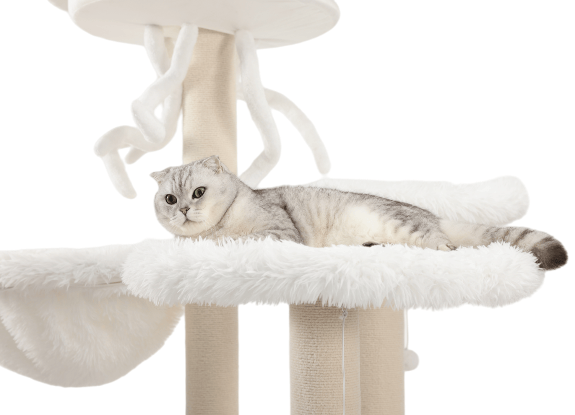 Cat trees for larger cats - comfortable resting areas for cats to lie down and relax.