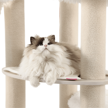 top rated cat trees for large cats