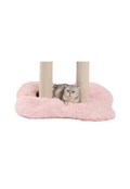 bed for large cat