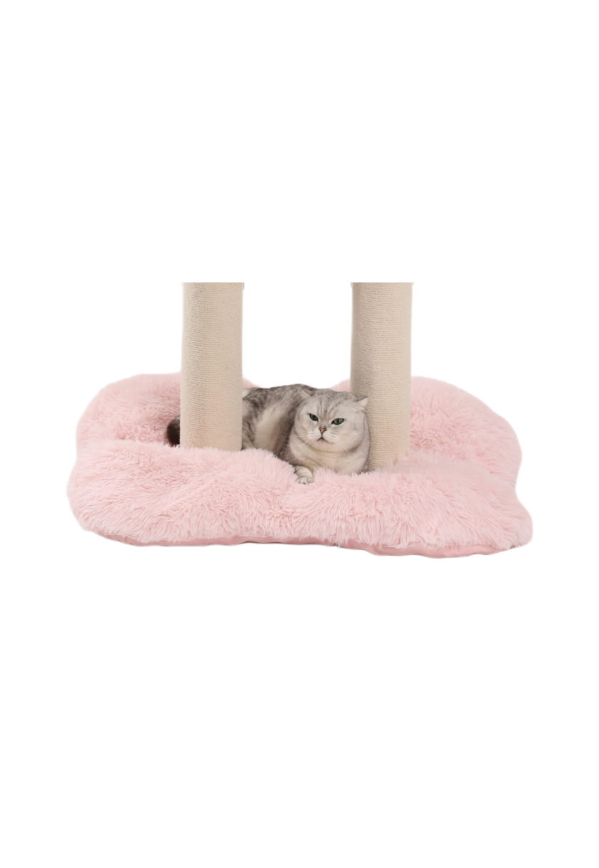 bed for large cat