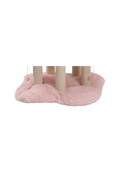 maine coon cat bed