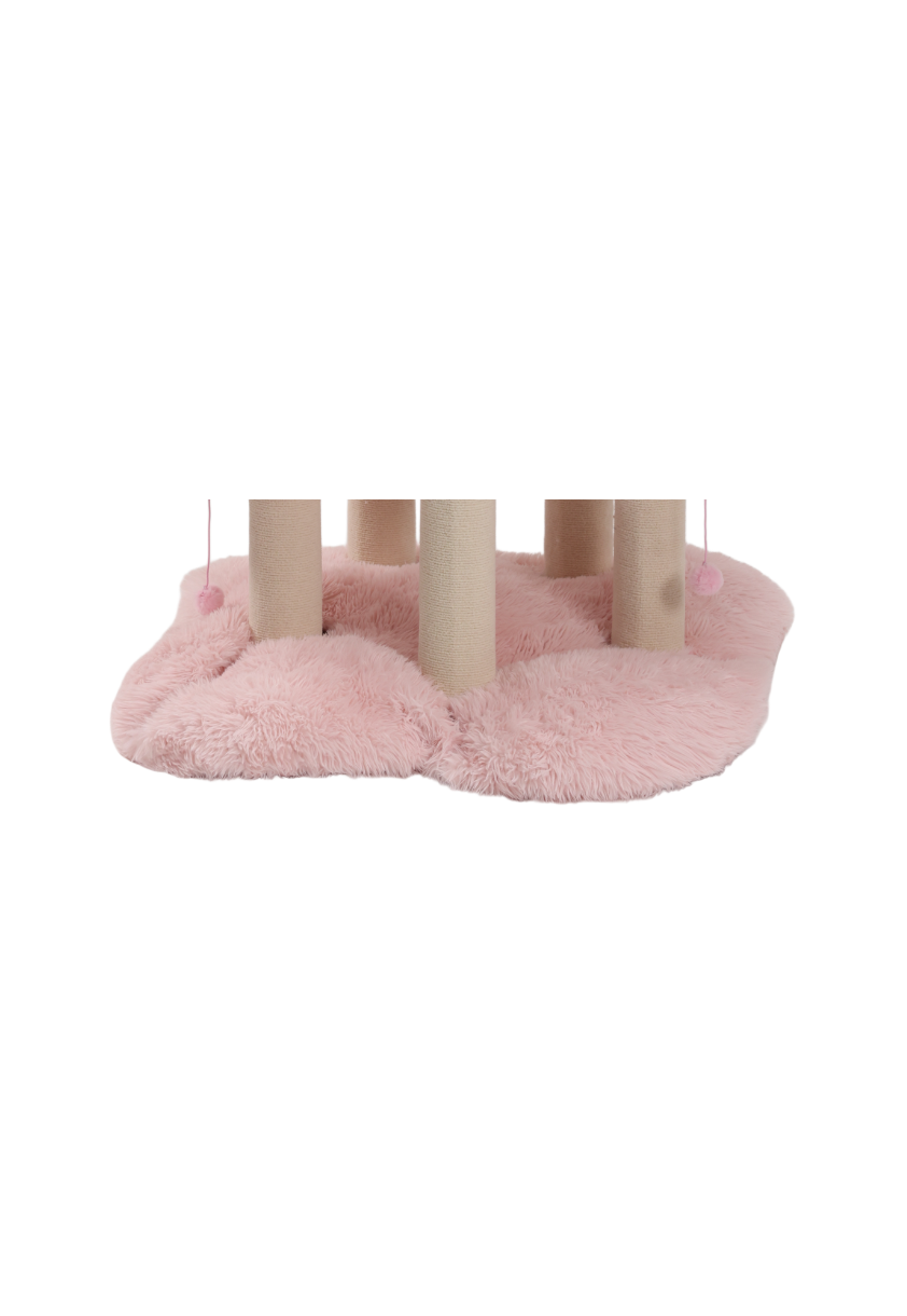 maine coon cat bed