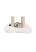 beds for large cats