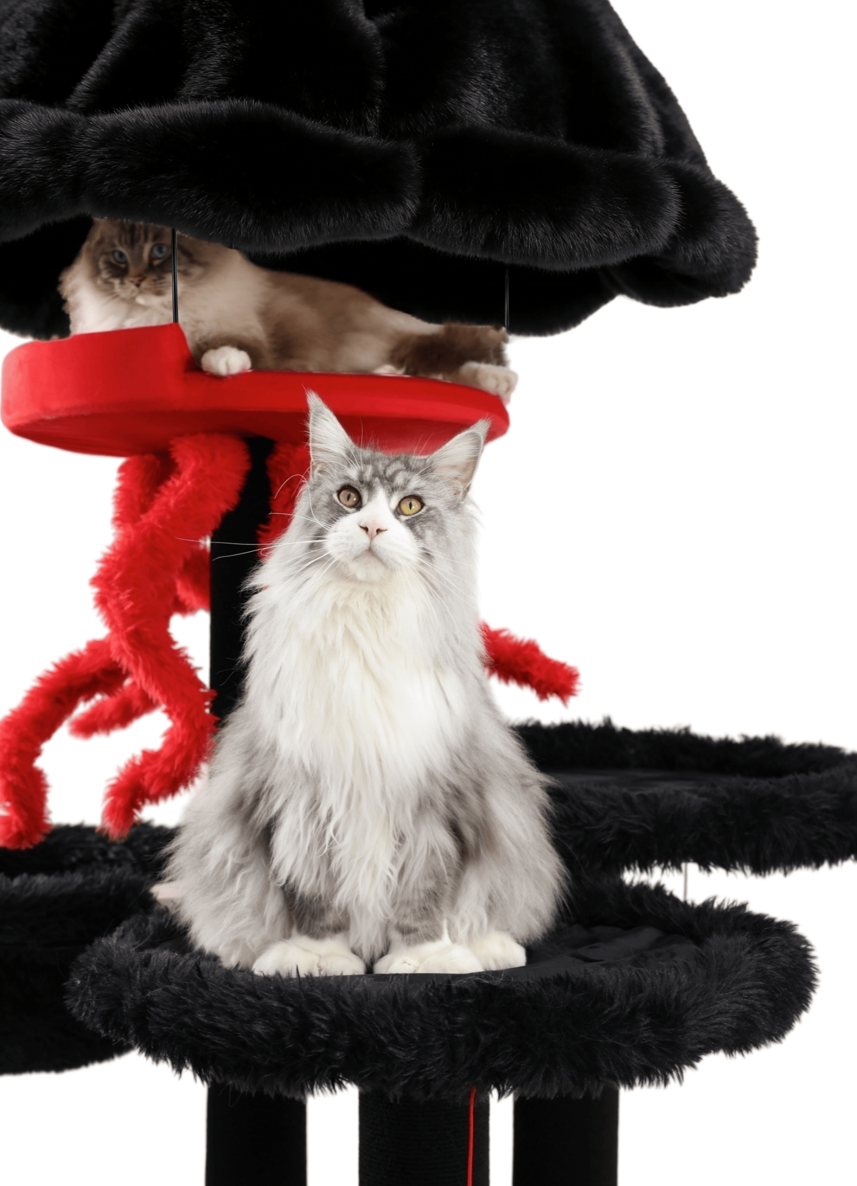 Unique style big cat furniture