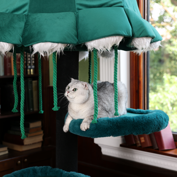 The multi-level cat tree is designed for multi-cat households.