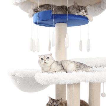 solid wood cat tree for large cats