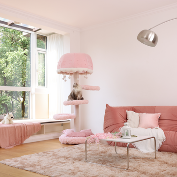 The "cat scratch house" is a way to relieve the stress of preventing cats from damaging other furniture.