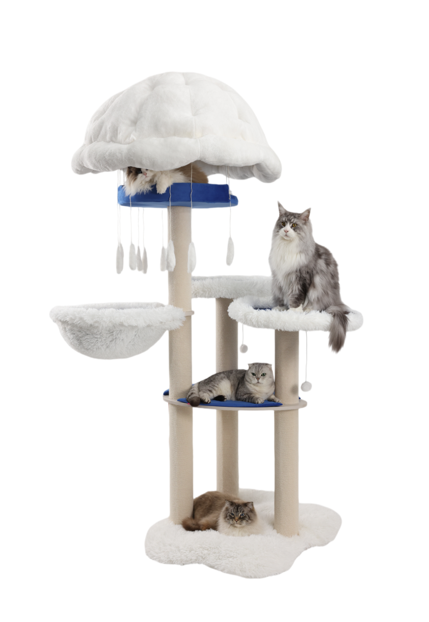Sturdy and durable heavy-duty cat furniture