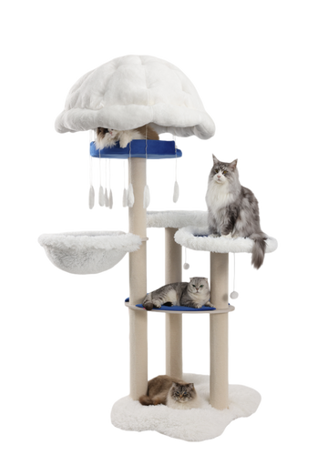 Sturdy and durable heavy-duty cat furniture