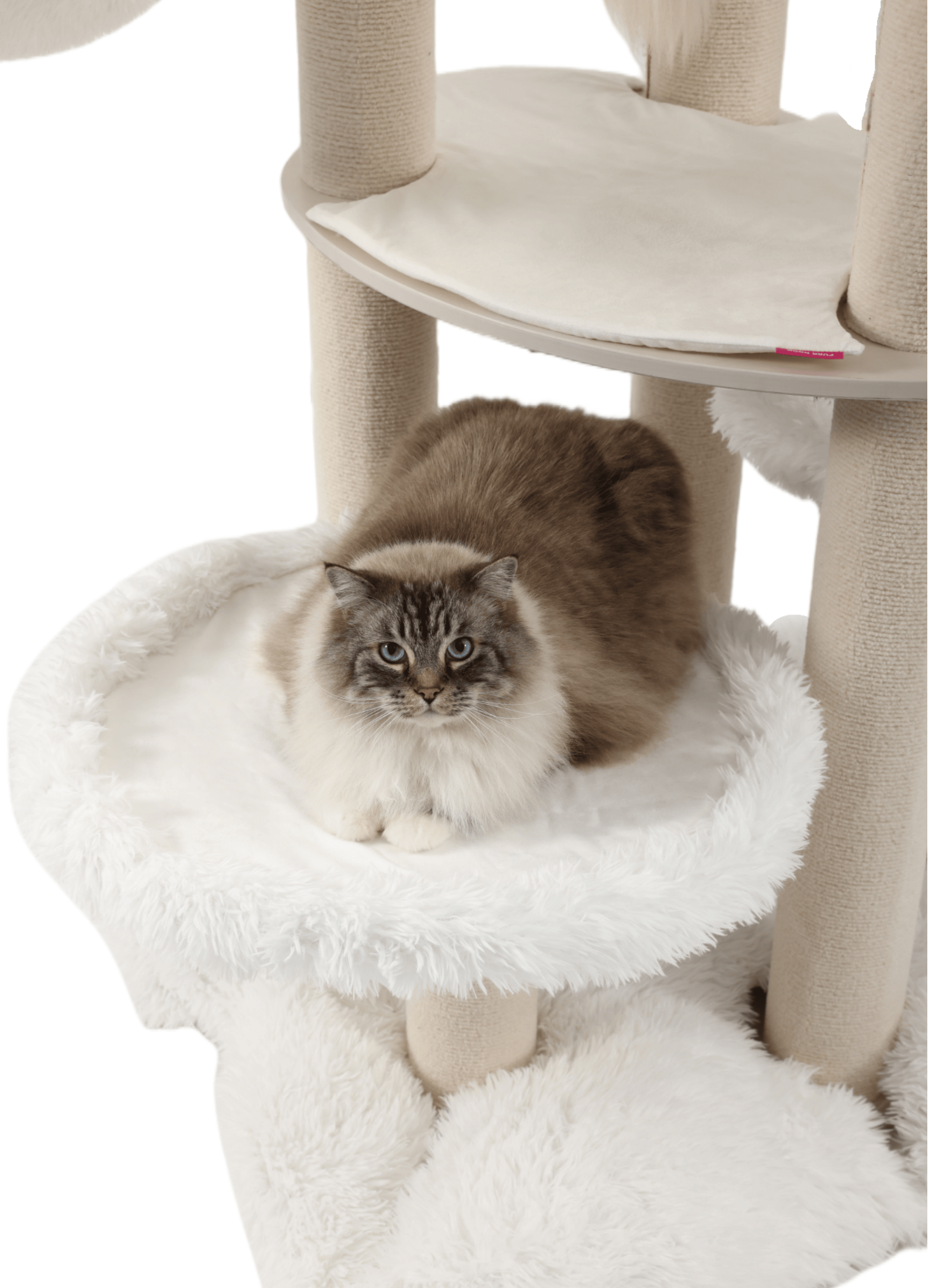 High-quality sturdy cat tower for large cats