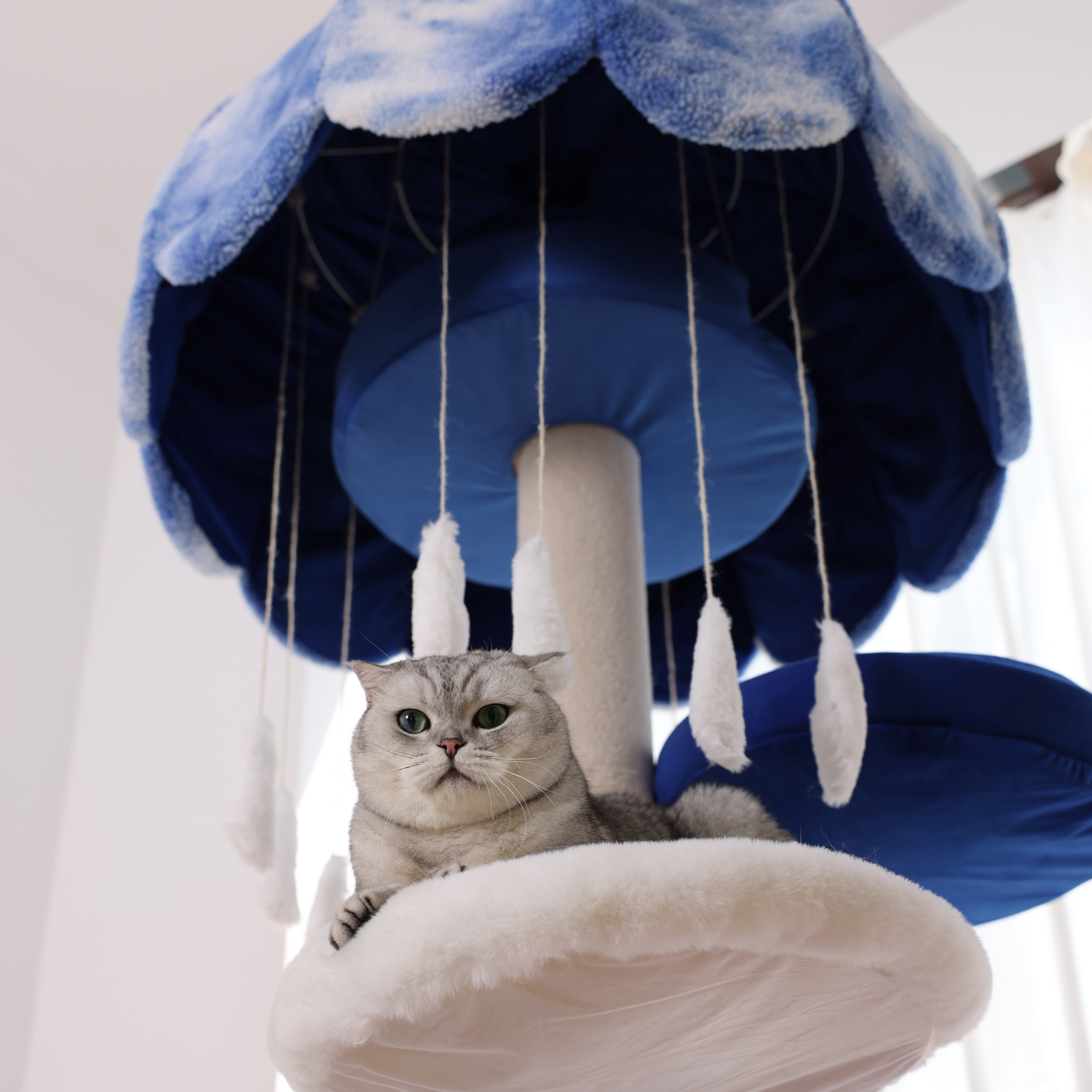 A cat tree and bed that can be climbed as well as used for resting.