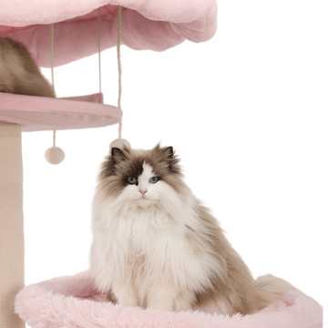 extra large cat tree for big cats