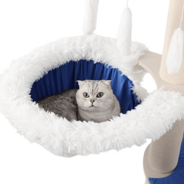 maine coon cat house with hammock