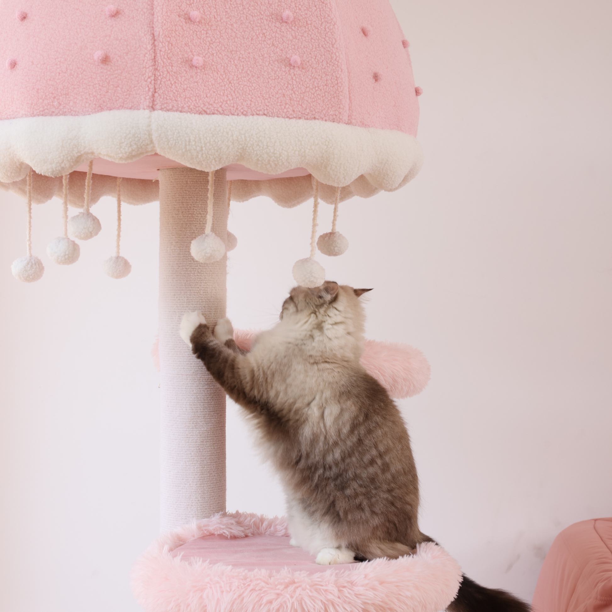 The cat tower without carpet cannot meet the scratching needs of cats.