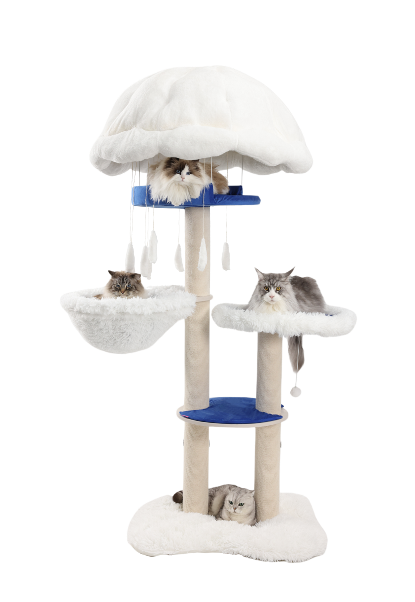 Cat caves for big cats - providing them with more security.