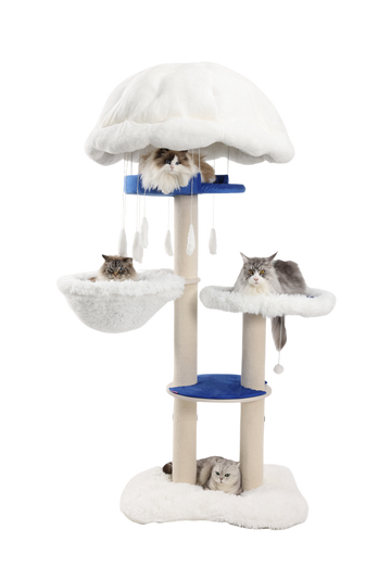 Cat caves for big cats - providing them with more security.