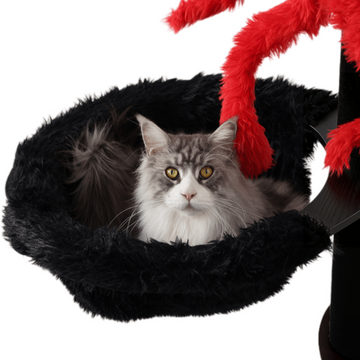 sturdy cat trees for big cats