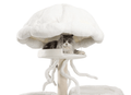 Beautiful jellyfish-shaped massive cat tree