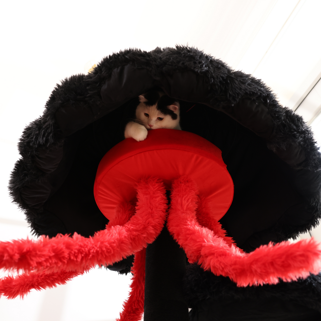 The sturdy and durable cat tree wood is an artistic piece of furniture for the interior.