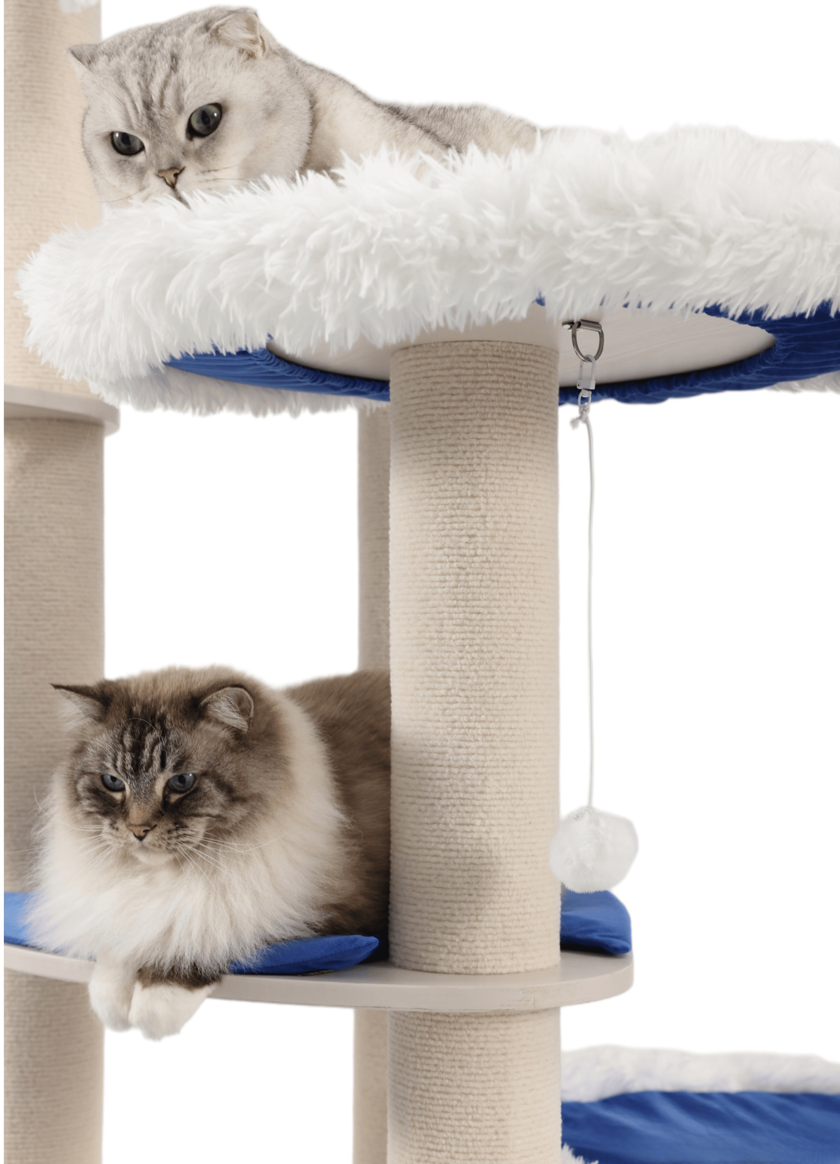Suitable for multi-cat households, sturdy cat towers for large cats