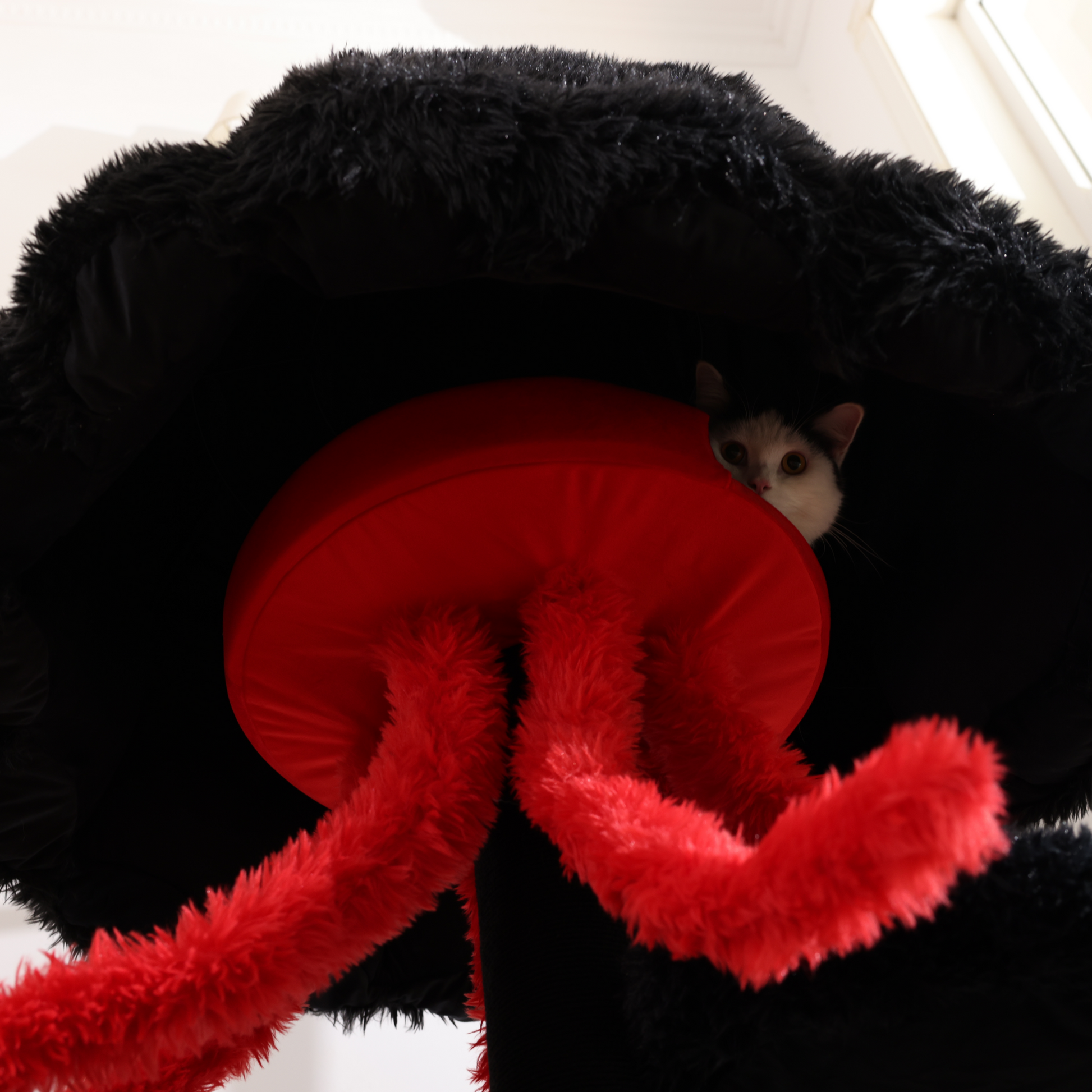 Use high-quality cat tree wood. It will not break even after long-term use.