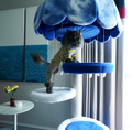 cat tree with lights