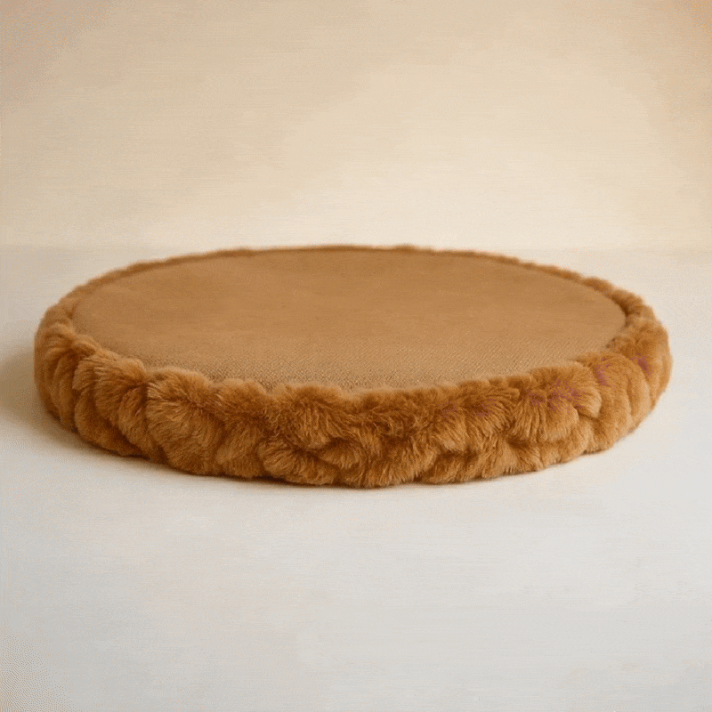 chic cat furniture