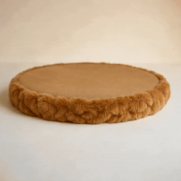 chic cat furniture