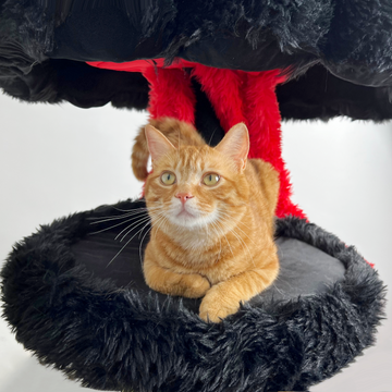 cool cat tree